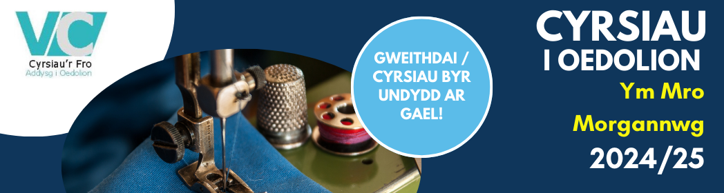 Vale courses 2024 25 Banner Cymraeg