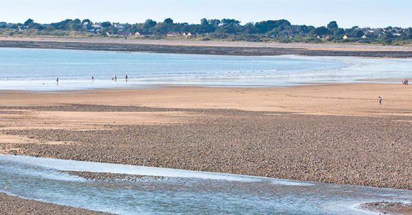 can you take dogs to ogmore beach