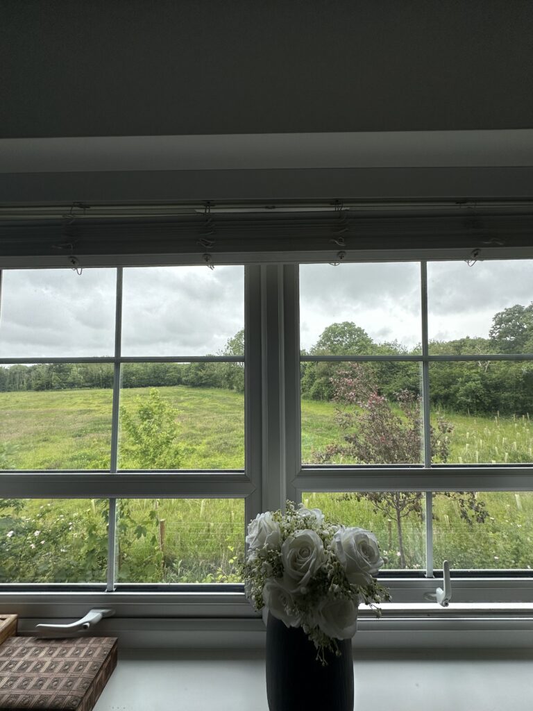 17 Coed y Ffynon - view from window