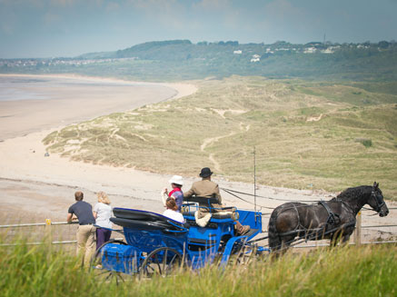 can you take dogs to ogmore beach