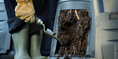 Compost bin