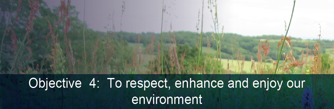 ADP Objective 4 Environment Banner