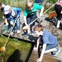 pond dipping with nets
