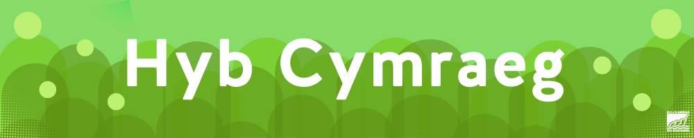 Hyb Cymraeg Banner T