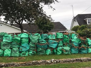 Green Waste Collections