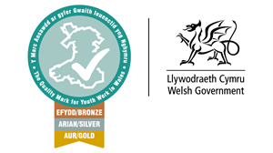 Quality mark for Youth Work in Wales Logo