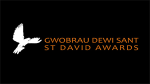 St Davids Awards