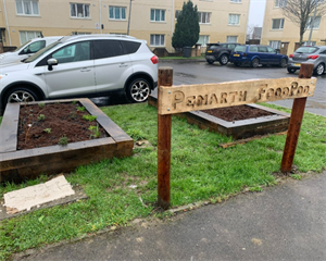 Penarth Food Pod allotments