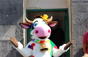 Cariad the Cow