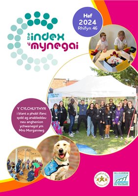 Summer Index 2024 Newsletter Cover Welsh