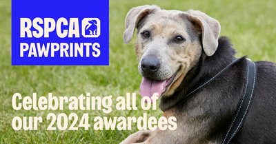 RSPCA pawprints award