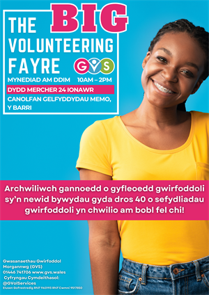 The Big Volunteering Fayre 2024 poster - Welsh