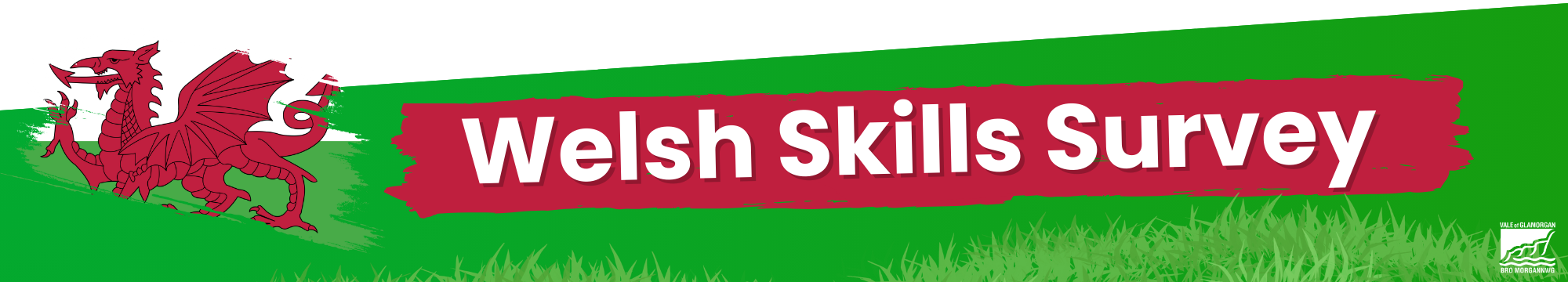 Welsh Skills Survey