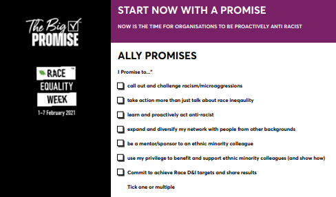 Day 5 Ally Promise