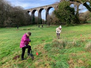 staff planting trees at Porthkerry