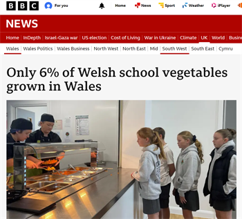 Screenshot of BBC Wales news article